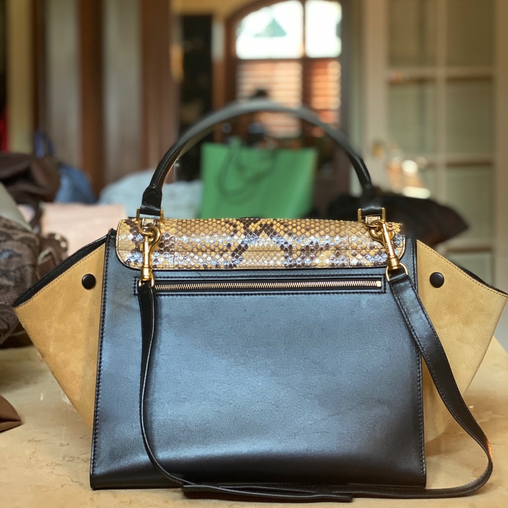 Celine Python Trapeze Handbag, 100% Authentic - Picture 3 of 9